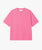 pink cosmos Cozy