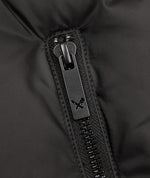 Hooded Puffer