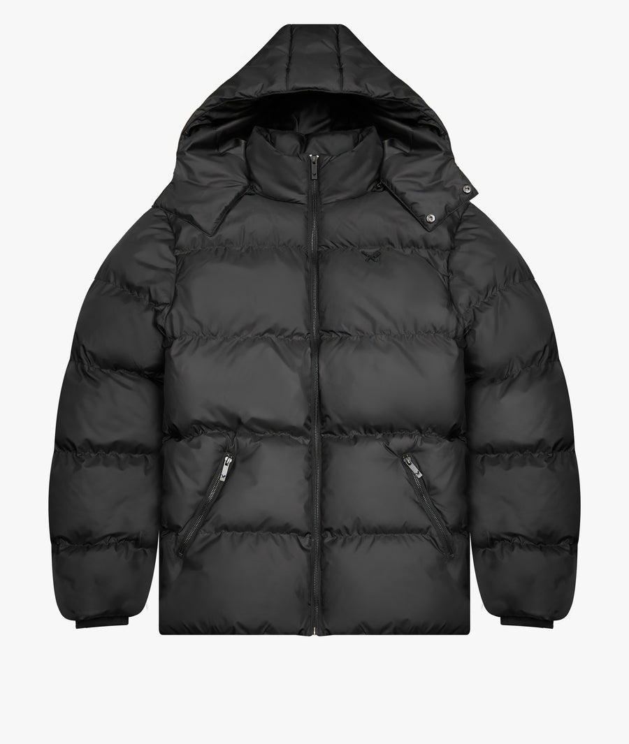 Hooded Puffer