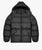 Hooded Puffer