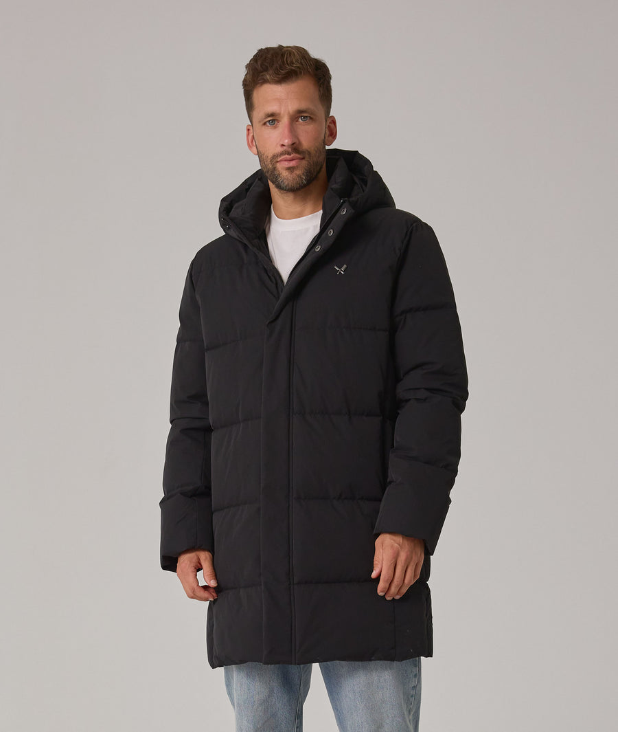 Hooded Puffer