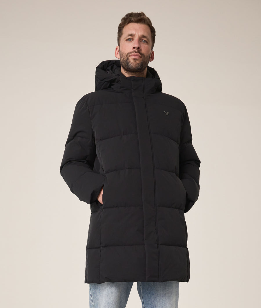 Hooded Puffer