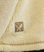 DPC Teddy