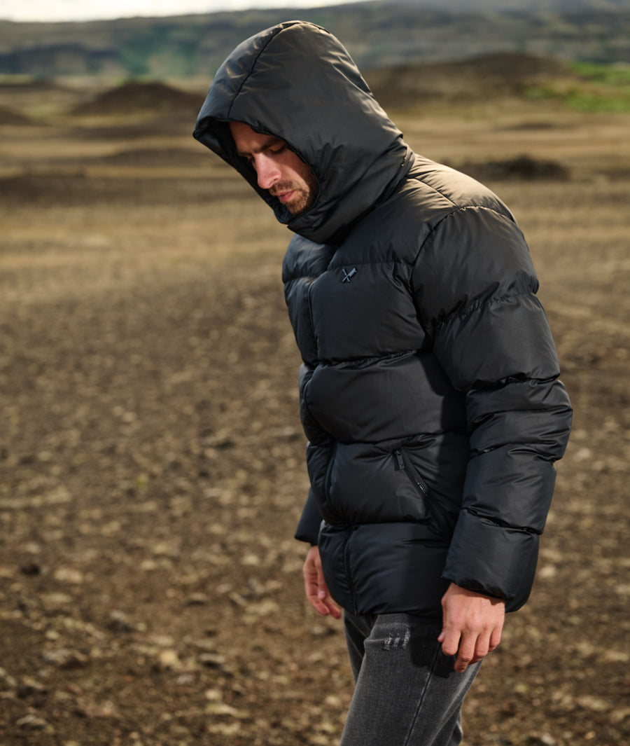 Hooded Puffer