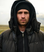 Hooded Puffer