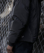 Hooded Puffer