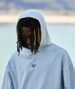 Terry