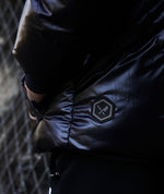 Hooded Puffer